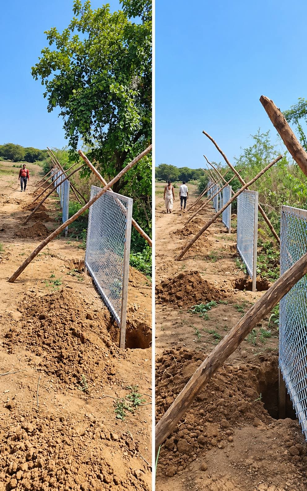 Galvanised chain link fence panels being installed along the CIP South Asia Regional Centre boundary in Agra